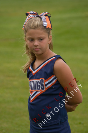 Mustangs 2008