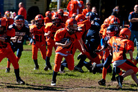 Milford Mustangs