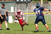 Milford Mustangs