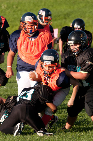Milford Mustangs