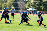 Milford Mustangs
