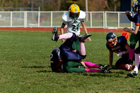 Milford Mustangs