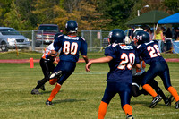 Mustangs 2008