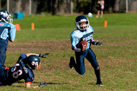 Milford Mustangs