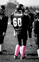 Milford Mustangs