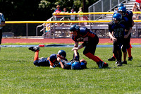 Milford Mustangs