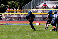 Milford Mustangs