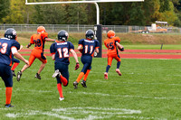 Milford Mustangs