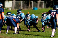 Milford Mustangs