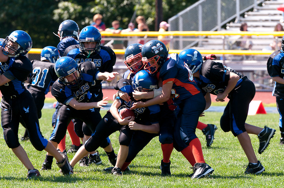 Milford Mustangs