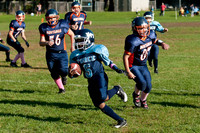 Milford Mustangs