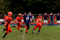 Milford Mustangs