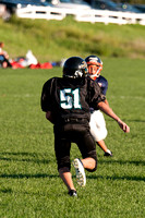 Milford Mustangs
