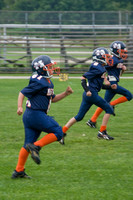 Mustangs 2008
