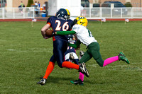 Milford Mustangs