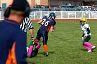 Milford Mustangs