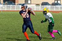 Milford Mustangs
