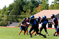Milford Mustangs