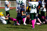 Milford Mustangs