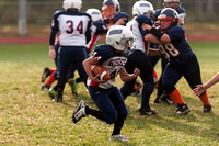 Milford Mustangs