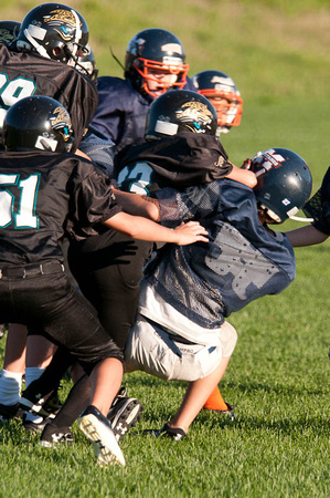 Milford Mustangs