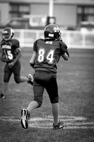 Milford Mustangs