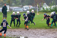 Mustangs 2008