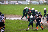 Mustangs 2008
