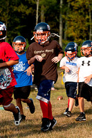 Milford Mustangs
