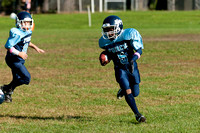 Milford Mustangs