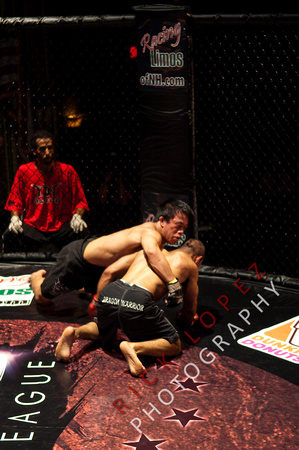 Global Fight League - Mixed Martial Arts