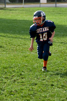 Mustangs 2008