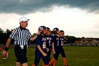 Mustangs 2008