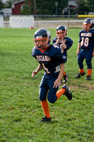 Mustangs 2008