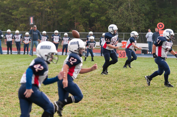 Milford Mustangs