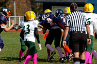 Milford Mustangs