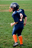 Mustangs 2008