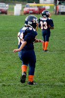 Mustangs 2008
