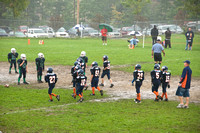 Mustangs 2008