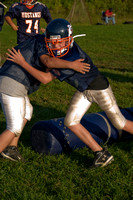 Mustangs 2008