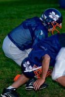 Mustangs 2008